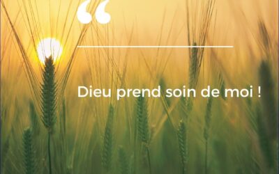 Homélie du Père FOUCHER du 28 juillet 2024