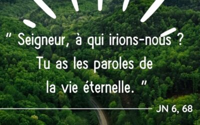 Homélie du père LESOING dimanche 25 août 2024