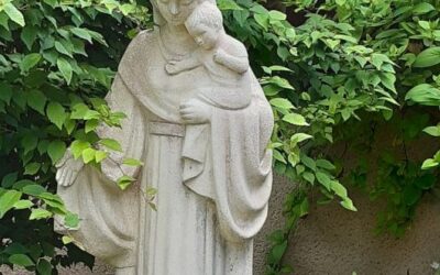 Pèlerinage Marial A Notre-Dame des Champs