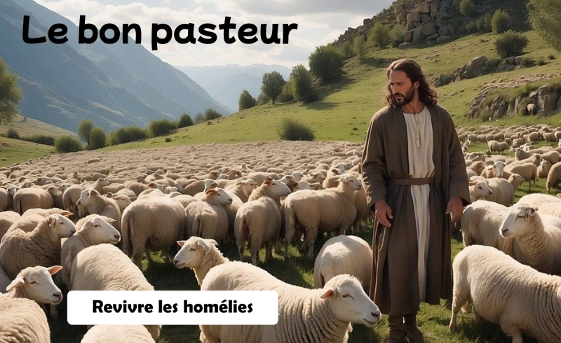 Homélie dimanche 26 avril