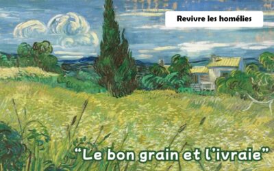 Homélie dimanche 19 juillet – Mgr MEYER